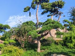 -罗红摄影艺术馆