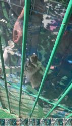 -萌宠亲子动物乐园(槐房万达店)