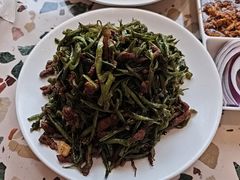 鲜豆角炒肉丝-姥姥家春饼店(惠新东街店)