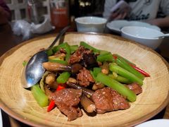 双椒鸡枞菌炒牛肉-品味杭州·粤式融合·海鲜小馆·钱江新城CBD