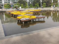 -石家庄市植物园