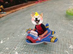 -南宫温泉水世界