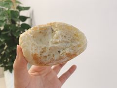 -沁屋面包店(人民东路店)