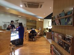 -柴务处·柴犬主题狗咖