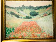 -印象莫奈时光映迹艺术展