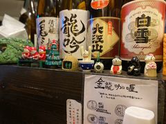 -金龙咖喱