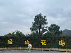 -径山花海