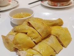 白斩清远鸡-稻香酒家(天河城店)