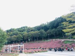 -牛岗山公园
