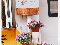 -茶是一枝花泡茶店