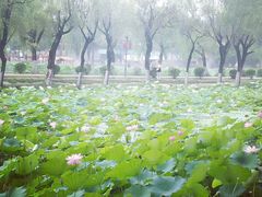 -渭滨公园