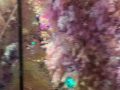 -胡桃里音乐酒馆(石家庄店)