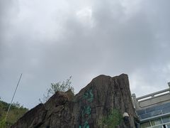 -梧桐山风景名胜区