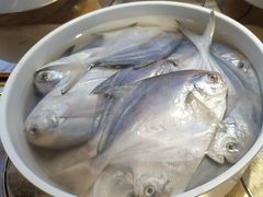 -西火火·川派小火锅(西溪银泰店)