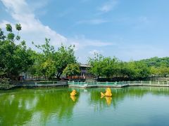 -星湖旅游景区七星岩