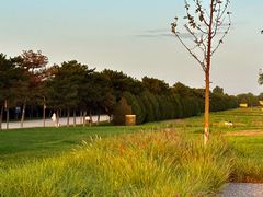 -汉长安城未央宫国家考古遗址公园