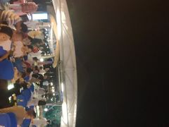 -渔家火锅·海鲜自助餐·演艺(亚龙湾天域酒店)