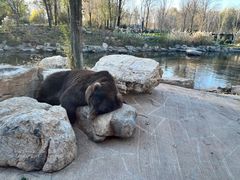 -北京野生动物园