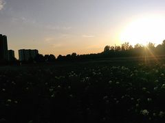 -北京东方普罗旺斯薰衣草庄园