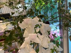 -EVERNAKED裸蛋糕(SOHO天山店)