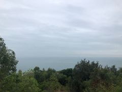 -广东惠东海龟国家级自然保护区