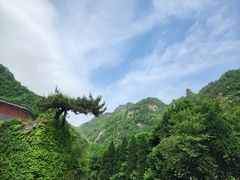 -武当山风景区