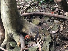 -南紀白浜 浜千鳥の湯 海舟
