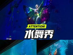 -哈尔滨极地公园