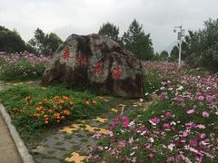 -广州市流溪河国家森林公园