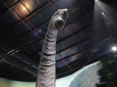 -侏罗纪世界电影特展(广州站)