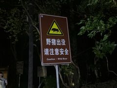 -紫金山山顶公园