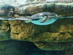 -长沙海底世界