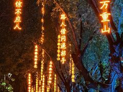 -万泉公园