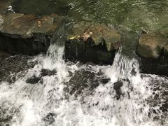 -东航云逸酒店(九溪烟树店)