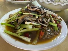 -春涛餐馆(下坝店)