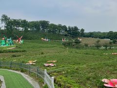 -大塘金香草谷