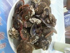 android_upload_pic-海滨假日渔家海鲜