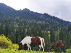 -新疆那拉提国家旅游度假区