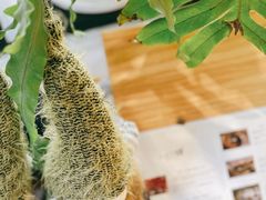 -一尺花园(安和花园店)