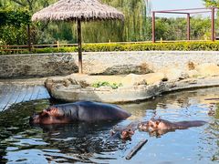 -沈阳森林动物园