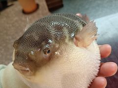 -永安鱼庄·镇江菜(东吴路店)