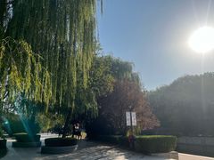 -元大都城垣遗址公园