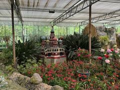 -南宫五洲植物乐园