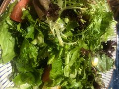 健康蔬菜鸡肉沙拉-NIUAN牛庵·日式和牛烧肉(恒隆店)