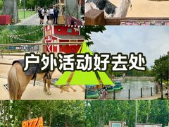 -尺木神奇世界