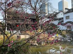 -南京市民俗博物馆(甘熙故居)