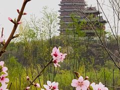 -永定河休闲森林公园