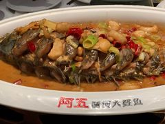 红烧黄河鲤鱼-阿五黄河大鲤鱼(英协路店)
