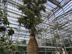 -南山植物园
