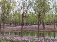-东郊湿地公园